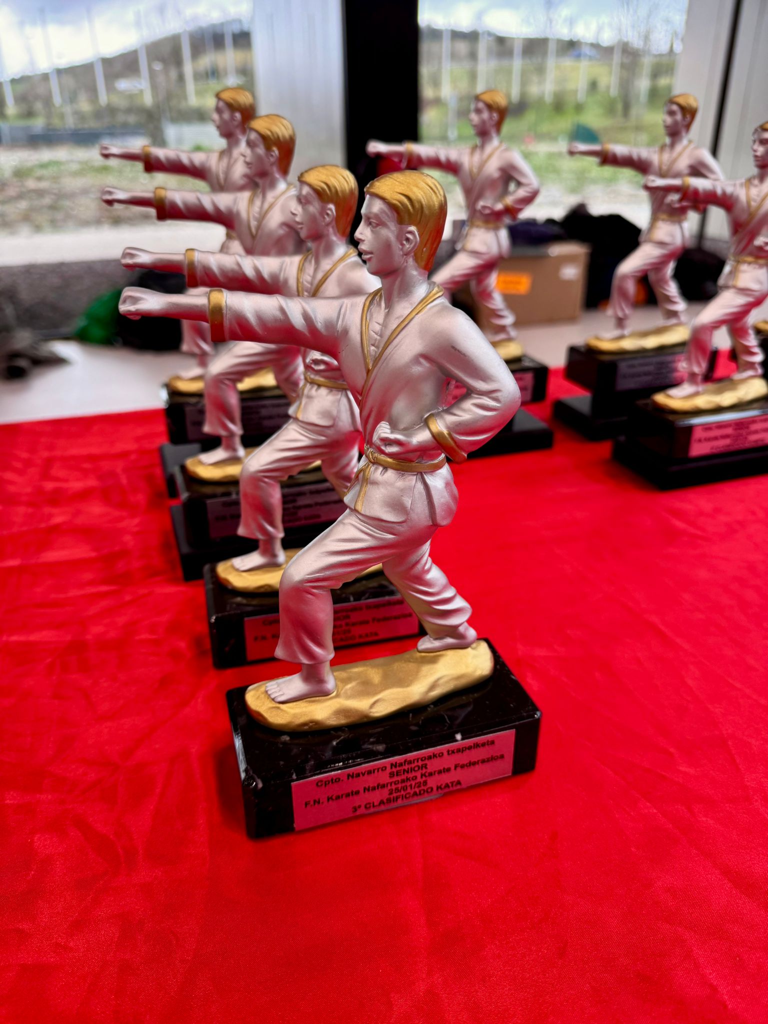 Resultados Campeonato Navarro Senior Kata y Kumite